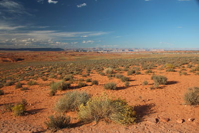 Scenic view of desert against sky