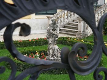 Plants growing in a garden