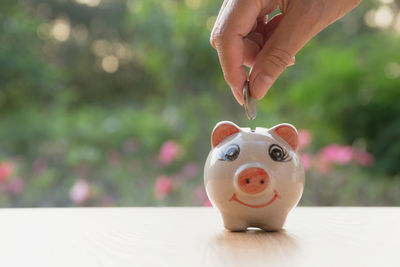 Close-up of person inserting coin in piggy bank on table