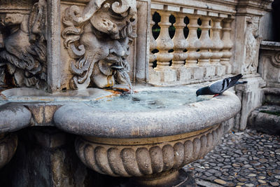 Statue of a bird in water