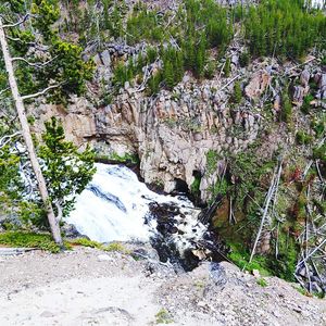 Scenic view of waterfall in forest