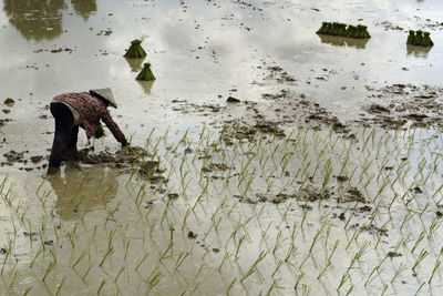 Side view of a farmer at work
