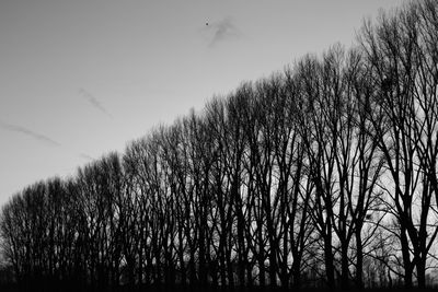 Low angle view of silhouette trees on field against sky