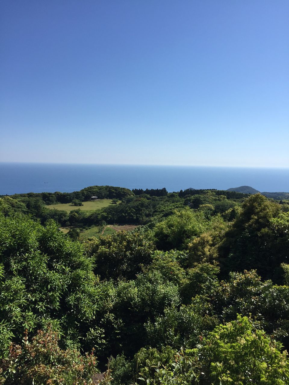 nature, clear sky, scenics, beauty in nature, tranquility, tranquil scene, blue, no people, outdoors, growth, day, green color, sea, water, landscape, tree, horizon over water, sky