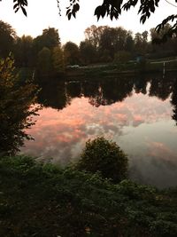 Reflection of silhouette trees on water against sky