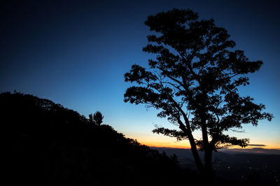 Low angle view of silhouette tree against sky at sunset