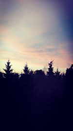 Silhouette trees against sky during sunset