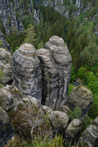 Rocks in forest