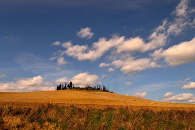 View of the beautiful tuscan countryside with its unique colors.