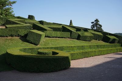Scenic view of garden against clear sky