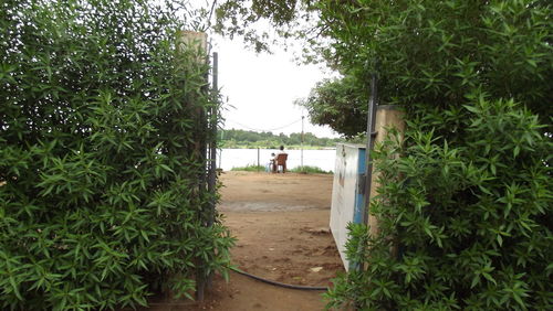 View of footpath with trees in background