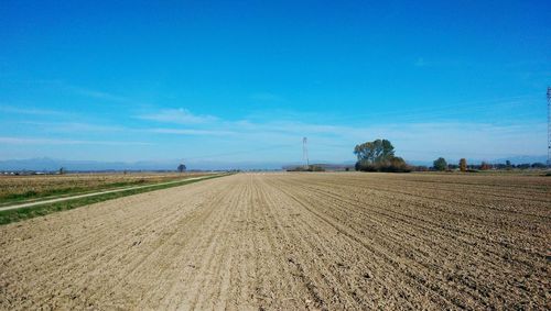 Scenic view of agricultural field against blue sky