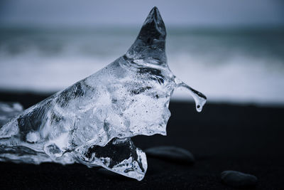 Close-up of ice crystals on beach