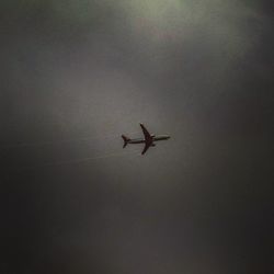 Low angle view of airplane flying in sky