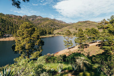 Scenic view of river amidst trees against sky