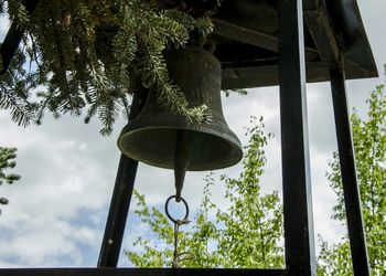 Low angle view of trees against sky