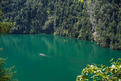 Scenic view of lake amidst trees
