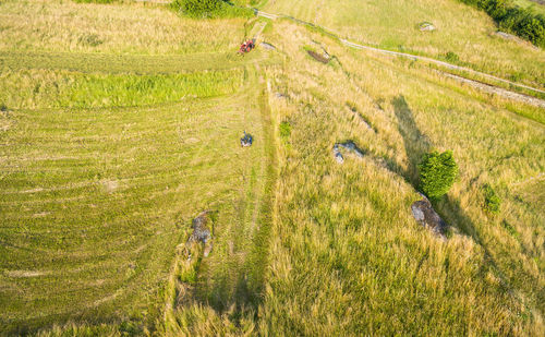 High angle view of grassy field