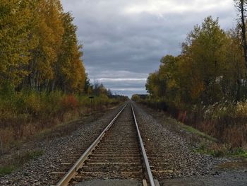 Railroad tracks by trees against sky