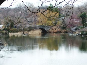 Scenic view of river by trees against sky