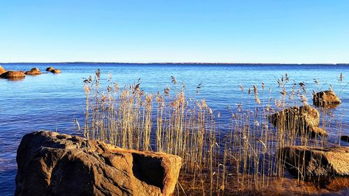 Scenic view of sea against clear blue sky