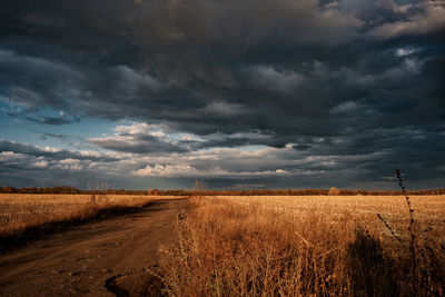 Scenic view of field against sky