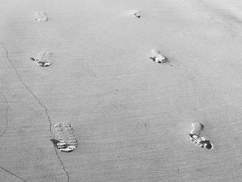 High angle view of crab on sand