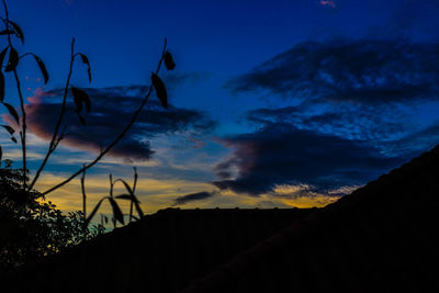 Low angle view of silhouette plants against dramatic sky