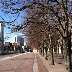 Road passing through city