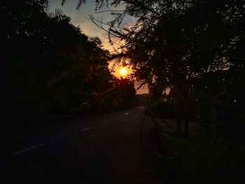 Silhouette trees by road against sky during sunset