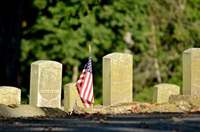 Close-up of flag in cemetery