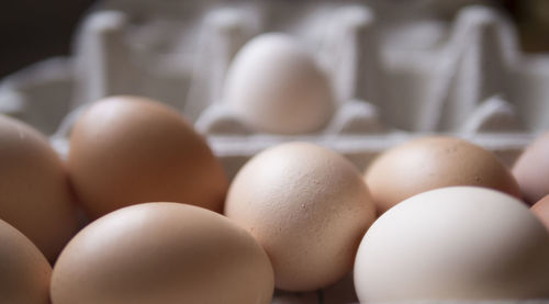 Close-up of eggs