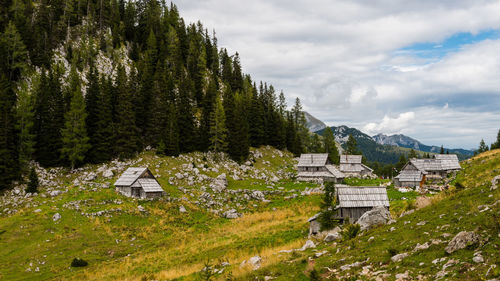 Scenic view of trees and buildings against sky