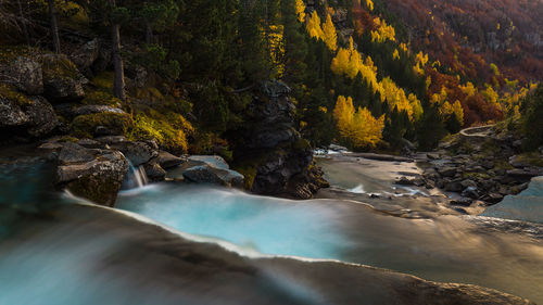 Scenic view of stream flowing through rocks in forest