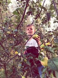 Portrait of boy on branch against tree