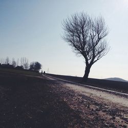 Bare trees on landscape against clear sky