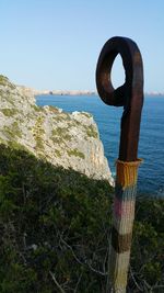 View of plants against calm blue sea