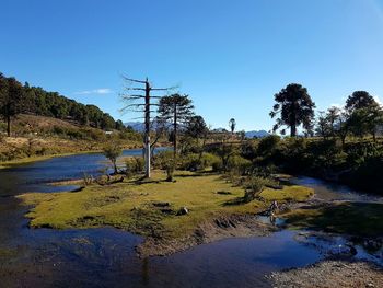 Scenic view of landscape against clear blue sky