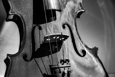 Close-up of cello