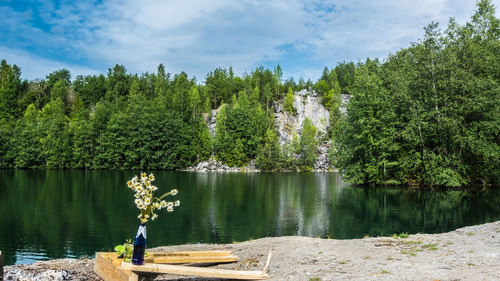 Scenic view of lake amidst trees in forest against sky