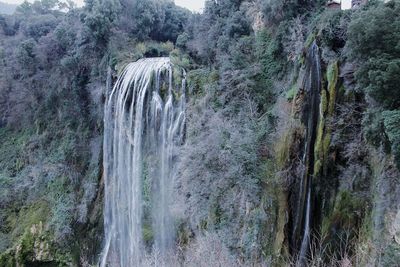 Scenic view of waterfall in forest