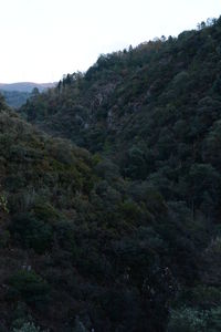 Scenic view of green landscape and mountains against sky