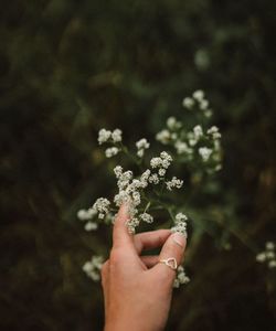 hand
