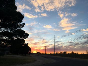 Trees against sky during sunset