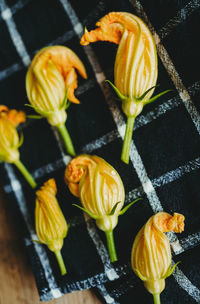 High angle view of roses on table