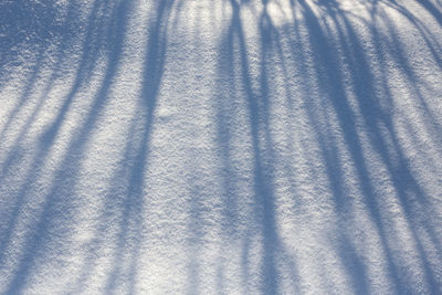 High angle view of shadow on snow