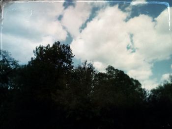 Low angle view of trees against cloudy sky