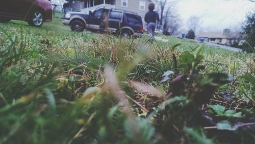 Cars on grassy field