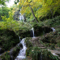 Scenic view of waterfall in forest