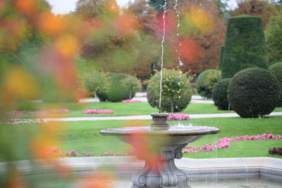 Close-up of fountain against trees